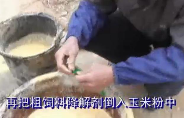 发酵木薯渣成优质饲料技术 